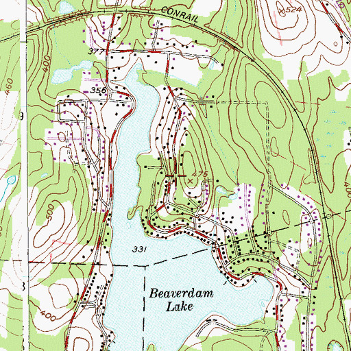 Topographic Map of Beaver Dam Lake, NY