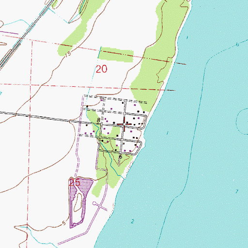 Topographic Map of Dickerson City, FL