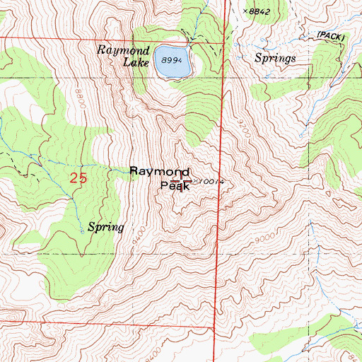 Topographic Map of Raymond Peak, CA