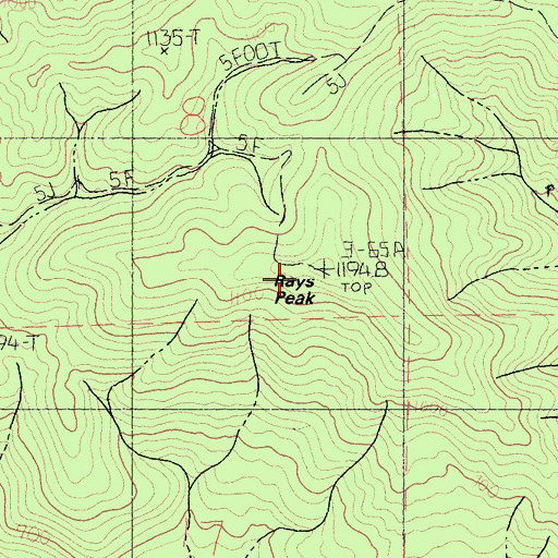 Topographic Map of Rays Peak, CA