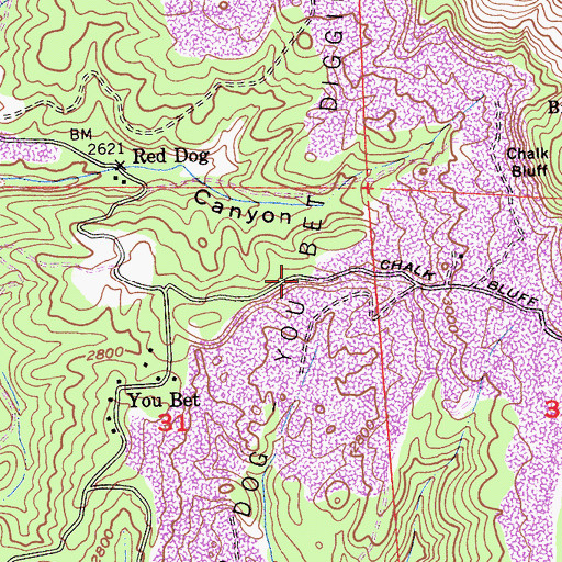 Topographic Map of Red Dog You Bet Diggings, CA