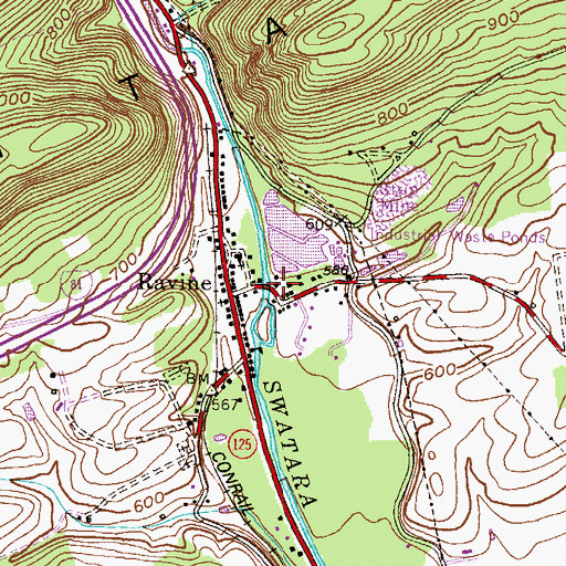 Topographic Map of Ravine Fire Company  District 21 Station 1, PA