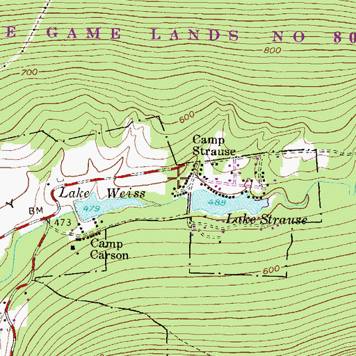 Topographic Map of Camp Strause Fire Company Station 45, PA
