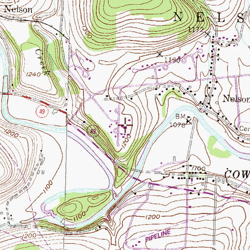Topographic Map of Nelson Volunteer Fire Company, PA