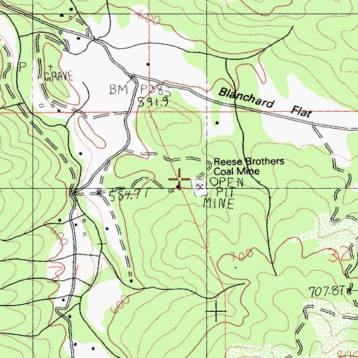 Topographic Map of Reese Brothers Coal Mine, CA
