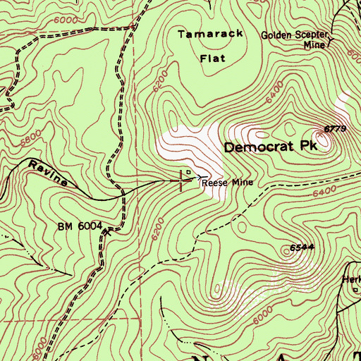 Topographic Map of Reese Mine, CA