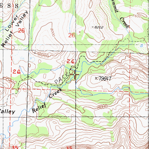 Topographic Map of Relief Creek, CA