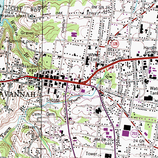 Topographic Map of Savannah Fire Department, TN