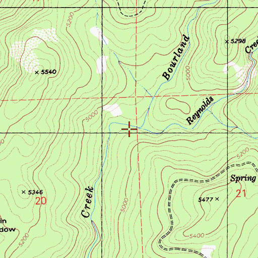 Topographic Map of Reynolds Creek, CA