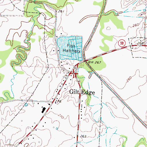 Topographic Map of Gilt Edge Volunteer Fire Department, TN