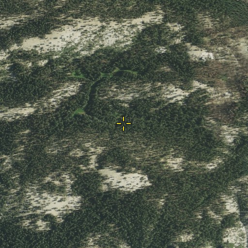Aerial/Satellite Image of Ribbon Meadow, CA