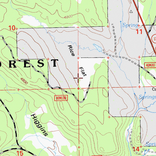Topographic Map of Rice Flat, CA