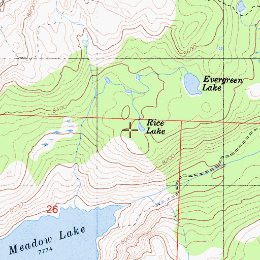 Topographic Map of Rice Lake, CA
