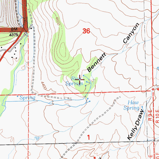 Topographic Map of Rice Springs, CA