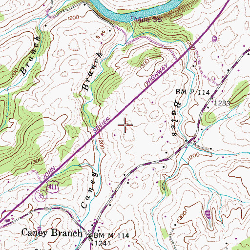 Topographic Map of Caney Branch Volunteer Fire Department, TN