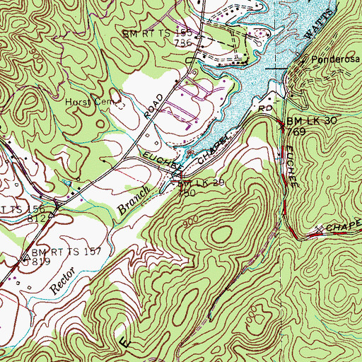 Topographic Map of Rhea County Fire Department Station 1 715 Pine Grove Fire District, TN