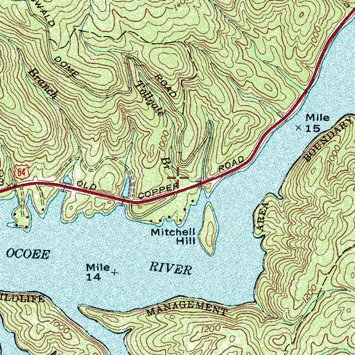 Topographic Map of United States Forest Service Ranger Station, TN