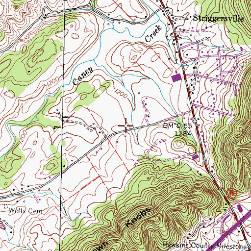 Topographic Map of Striggersville Volunteer Fire Department Station 1, TN
