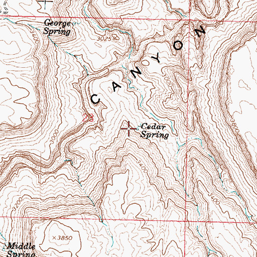 Topographic Map of Cedar Spring, AZ