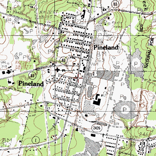 Topographic Map of Pineland Volunteer Fire Department, TX
