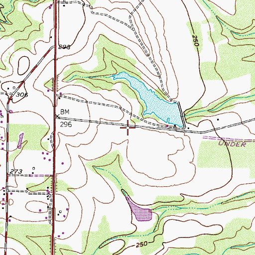 Topographic Map of Cass County Fire District 2 Domino Station, TX