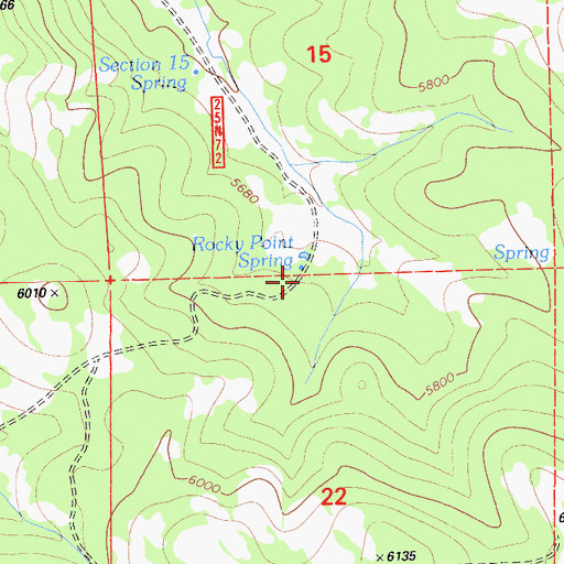 Topographic Map of Rocky Point Spring, CA