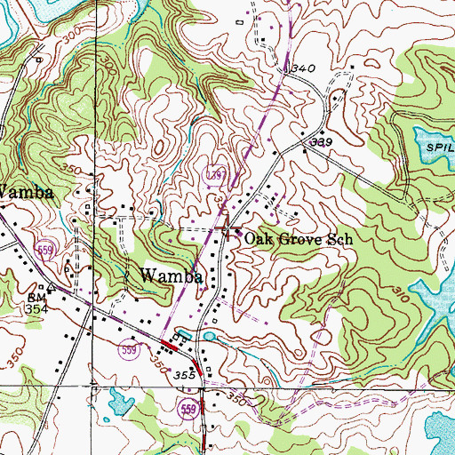 Topographic Map of Pleasant Grove Volunteer Fire Department, TX