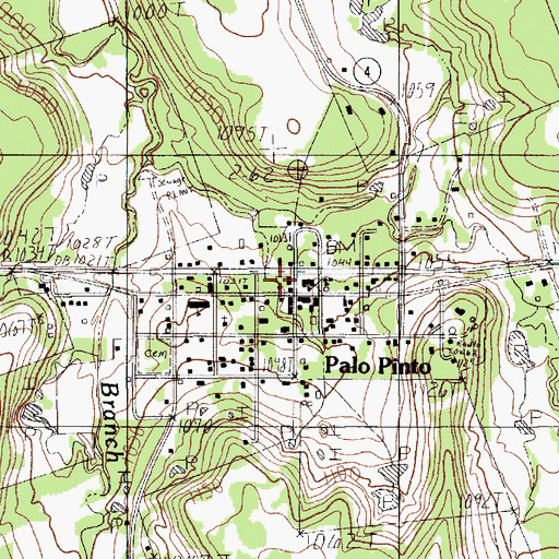 Topographic Map of Palo Pinto Emergency Medical, TX