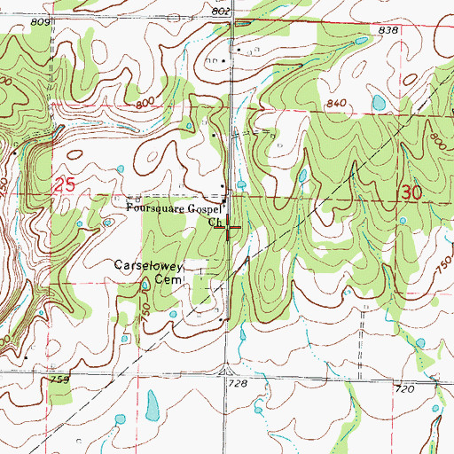 Topographic Map of Carselowey Community Fire Department, OK