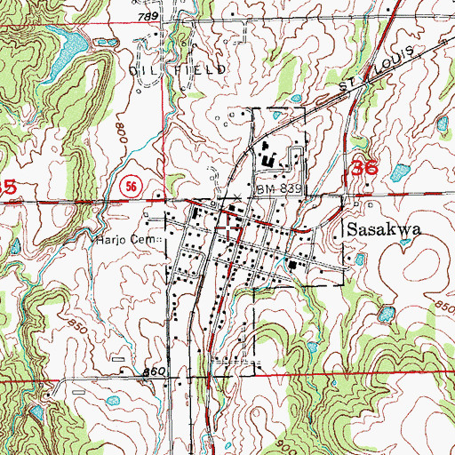 Topographic Map of Sasakwa Fire Department, OK