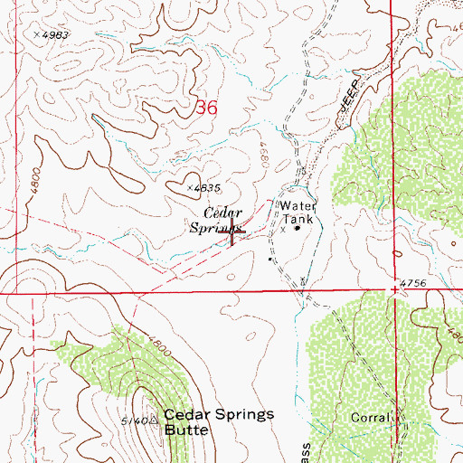 Topographic Map of Cedar Springs, AZ