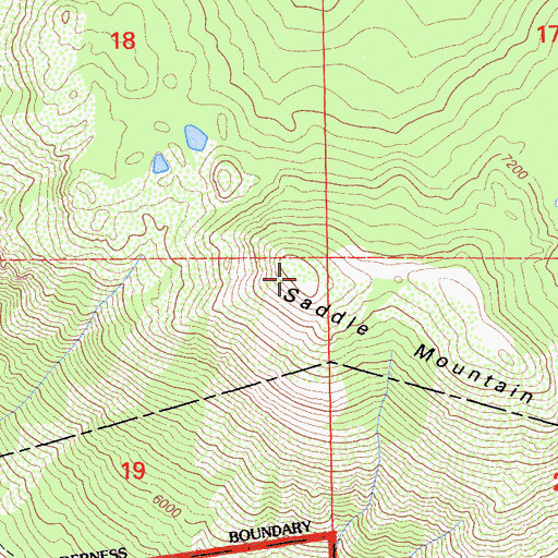 Topographic Map of Saddle Mountain, CA