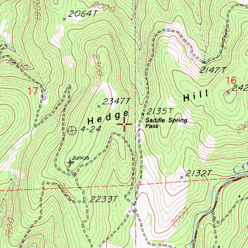 Topographic Map of Saddle Spring Pass, CA
