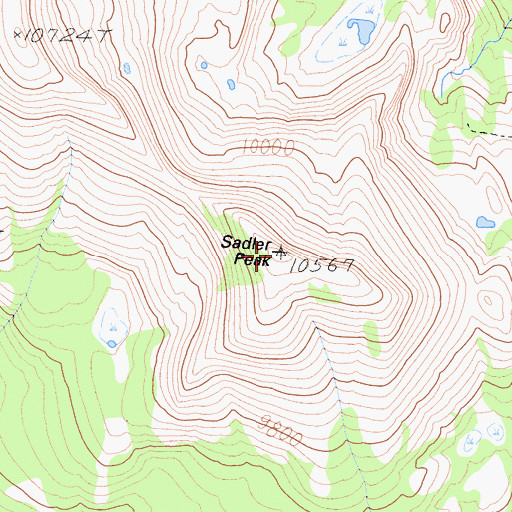 Topographic Map of Sadler Peak, CA