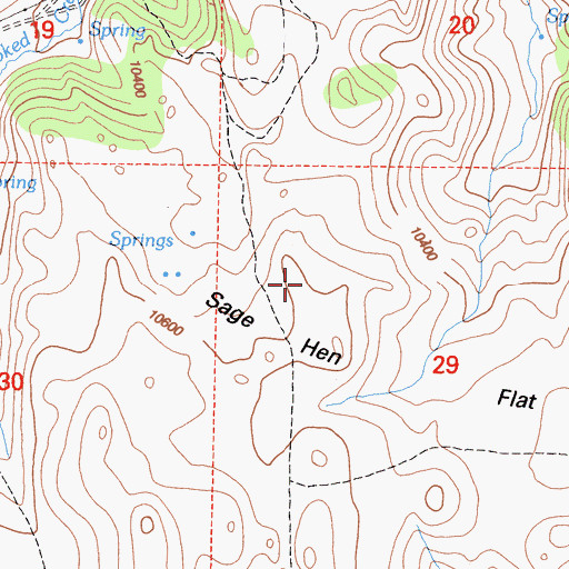 Topographic Map of Sage Hen Flat, CA