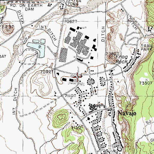 Topographic Map of Navajo Pine Volunteer Fire and Rescue, NM