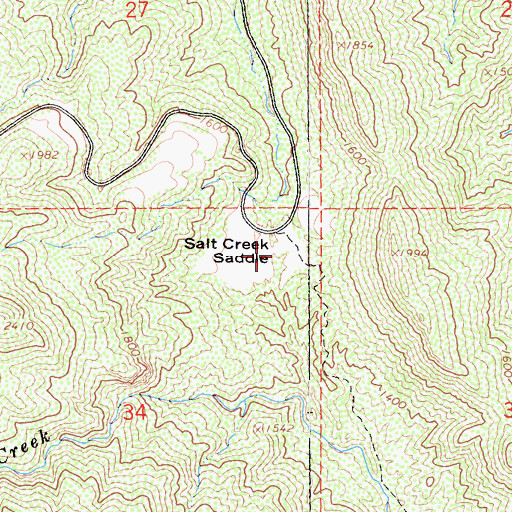 Topographic Map of Salt Creek Saddle, CA