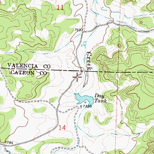 Topographic Map of Wild Horse Volunteer Fire Department, NM