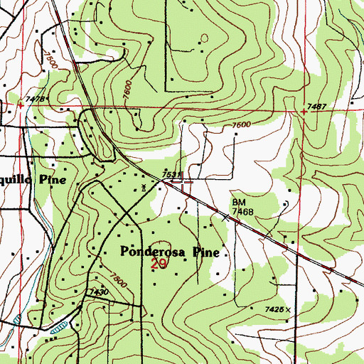 Topographic Map of Bernalillo County Fire and Rescue Station 11, NM