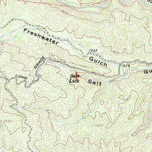 Topographic Map of Salt Lick, CA