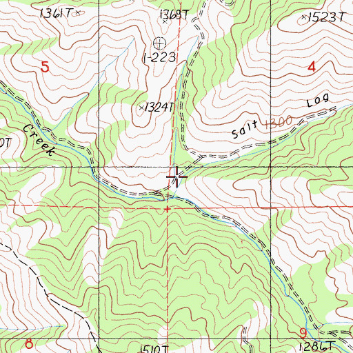 Topographic Map of Salt Log Gulch, CA