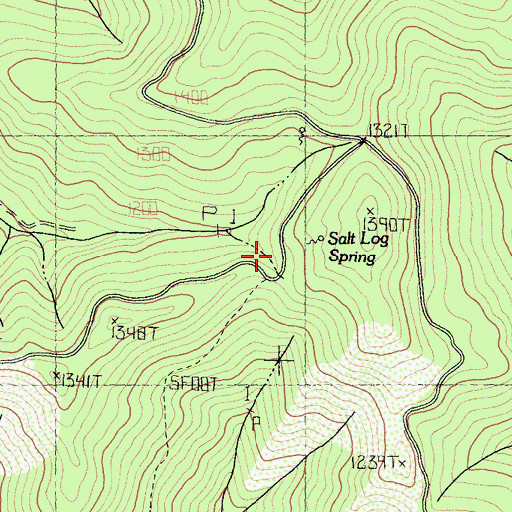 Topographic Map of Salt Log Spring, CA