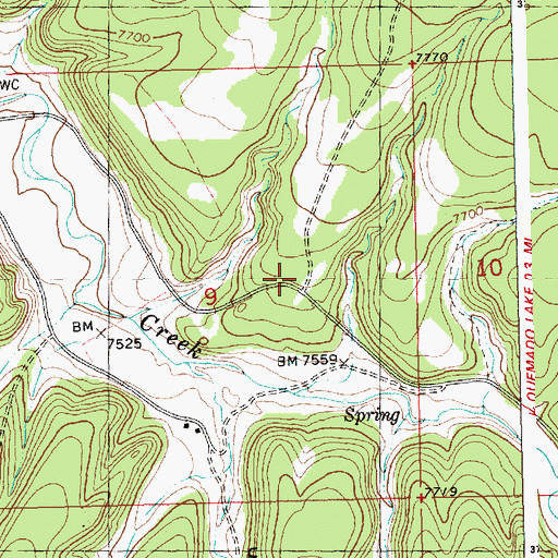 Topographic Map of Quemado Lake Fire Department, NM
