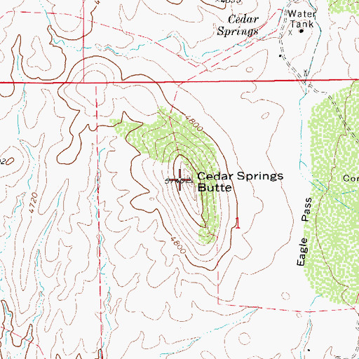 Topographic Map of Cedar Springs Butte, AZ