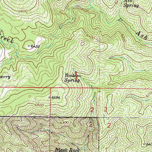 Topographic Map of Boiler Spring, AZ