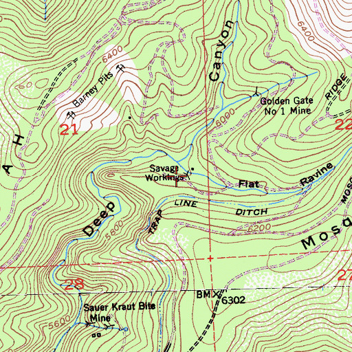 Topographic Map of Savage Workings, CA
