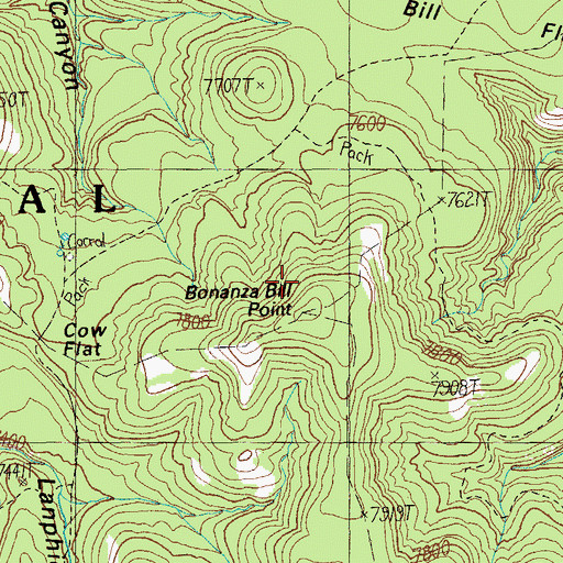 Topographic Map of Bonanza Bill Point, AZ