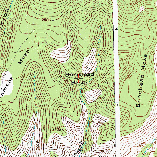 Topographic Map of Bonehead Basin, AZ