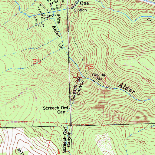 Topographic Map of Screech Owl Canyon, CA