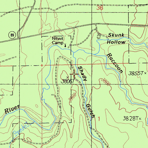 Topographic Map of Shady Gulch, CA